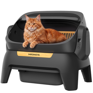 Meowant Self-Cleaning Cat Litter Box – MW-SC10