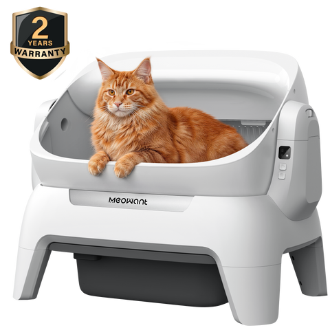 White MeoWant SC10 open-top automatic litter box shown from the front