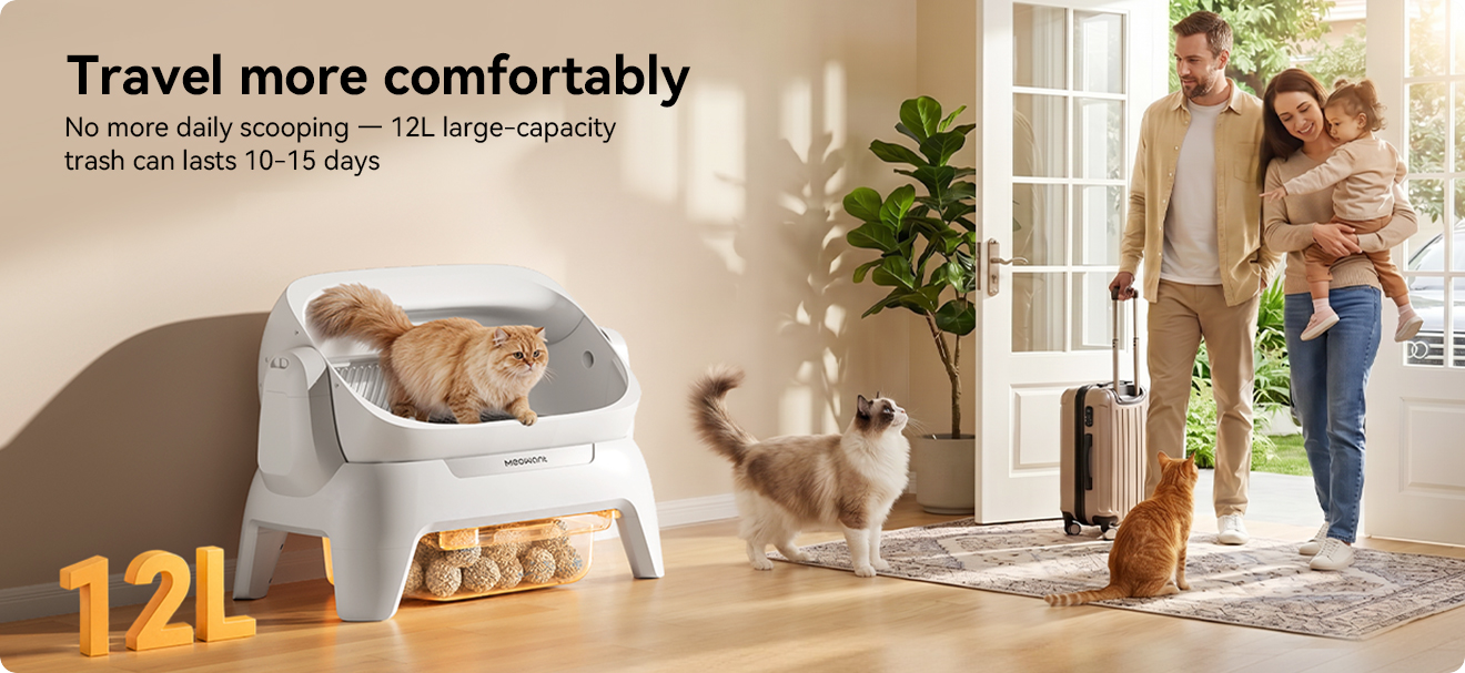 Meowant
