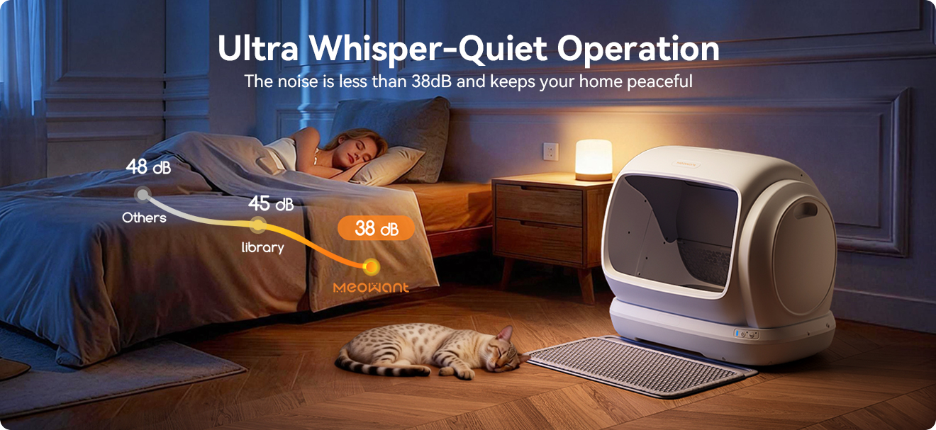 Meowant