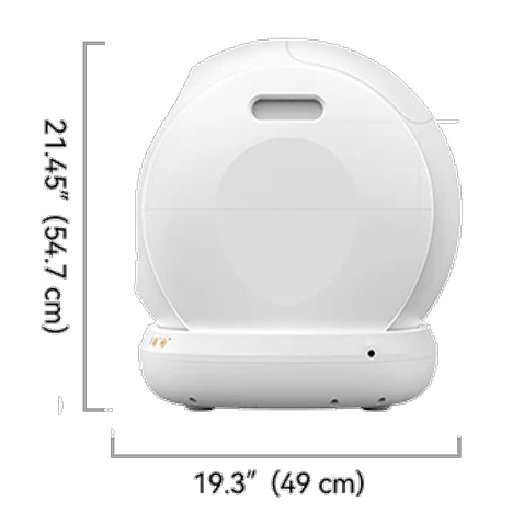 Meowant