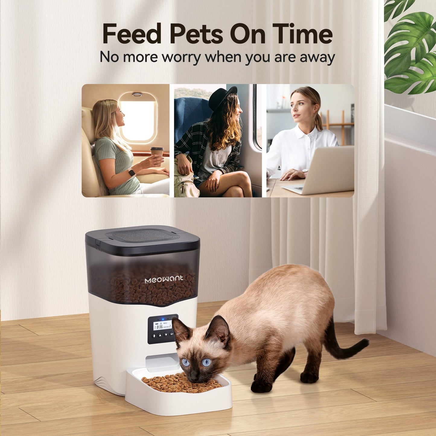Meowant Automatic Cat Feeder - Meowant
