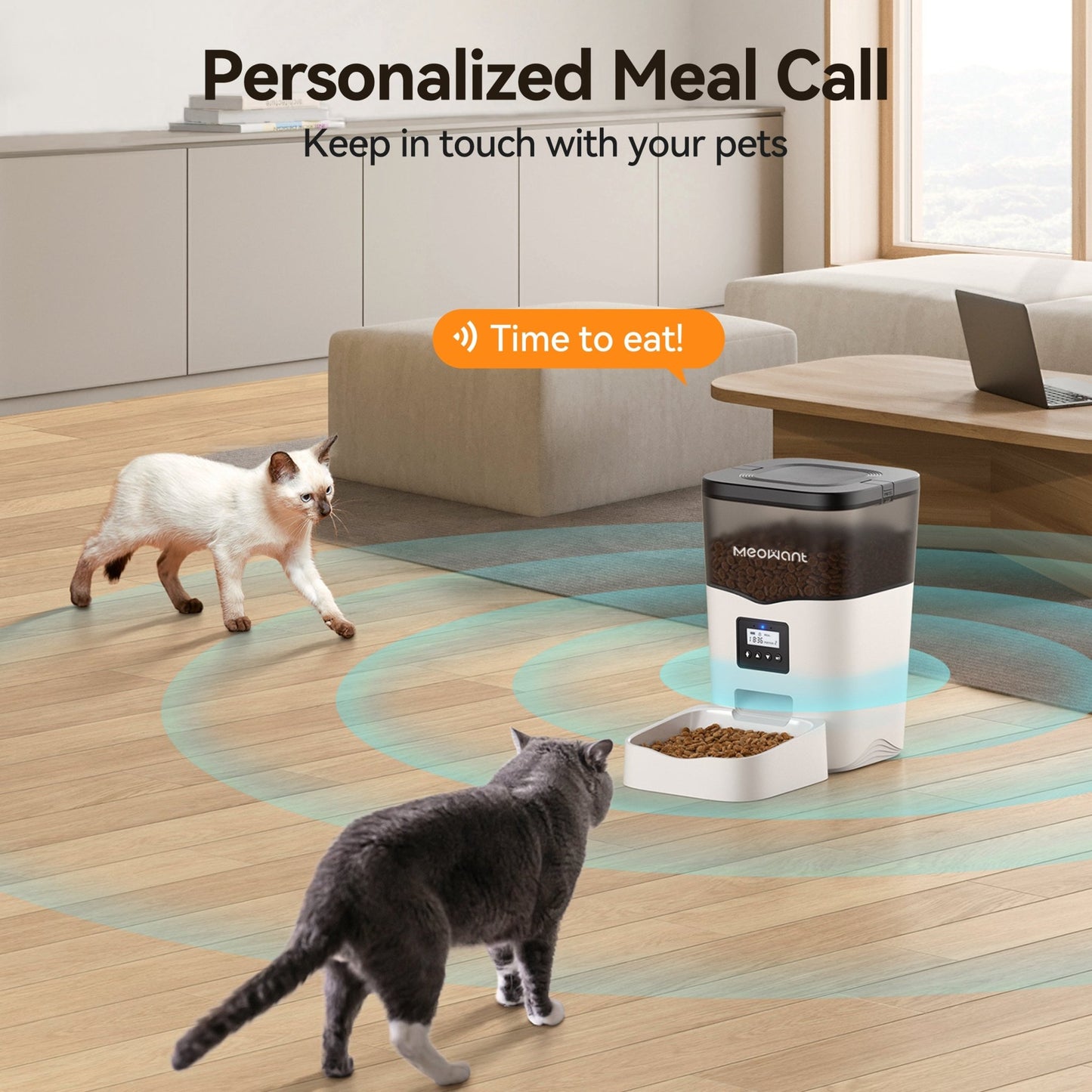 Meowant Automatic Cat Feeder - Meowant