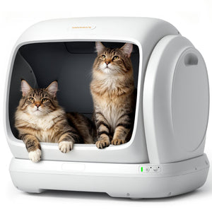 White Meowant self-cleaning cat litter box with two cats inside
