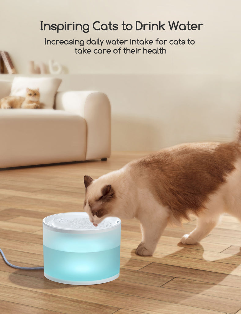 Siamese cat drinking from Meowant wireless pet water fountain in a home setting, promoting increased water intake for feline health